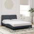 Estructura de cama luces LED terciopelo gris oscuro 140x200