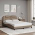 Estructura cama sin colchón cuero sintético capuchino