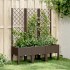 Jardinera con enrejado PP marrón 120x40x142