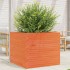 Jardinera madera maciza de pino marrón cera 80x80x68,5