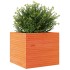 Jardinera madera maciza de pino marrón cera 80x80x68,5