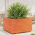 Jardinera madera maciza de pino marrón cera 80x80x49,5