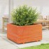 Jardinera madera maciza de pino marrón cera 80x80x49,5