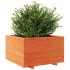 Jardinera madera maciza de pino marrón cera 80x80x49,5
