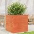 Jardinera de madera maciza de pino marrón cera 70x70x68,5