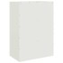Aparador de acero blanco 67x39x95