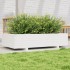 Jardinera de madera maciza de pino blanco 110x60x26,5