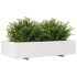 Jardinera de madera maciza de pino blanco 110x60x26,5