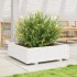 Jardinera de madera maciza de pino blanca 80x80x26,5