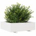 Jardinera de madera maciza de pino blanca 80x80x26,5