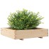 Jardinera de madera maciza de pino 110x110x26,5