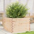 Jardinera de madera maciza de pino 70x70x45,5