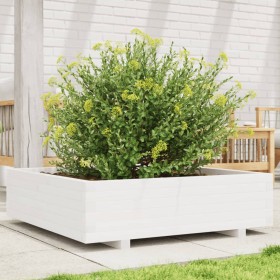 Jardinera de madera maciza de pino blanco 90x90x26,5