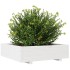 Jardinera de madera maciza de pino blanco 90x90x26,5