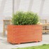 Jardinera madera maciza de pino marrón cera 90x40x49,5