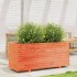 Jardinera madera maciza de pino marrón cera 110x40x49,5