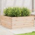 Jardinera de madera maciza de pino 110x110x46