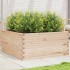 Jardinera de madera maciza de pino 100x100x46