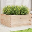 Jardinera de madera maciza de pino 100x100x46 cm