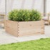 Jardinera de madera maciza de pino 100x100x46