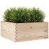 Jardinera de madera maciza de pino 100x100x46