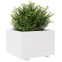 Jardinera madera maciza de pino blanco 70x70x49,5