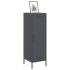Aparador de acero gris antracita 36x39x113