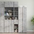 Armario estrecho madera ingeniería gris hormigón 30x42,5x225