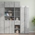 Armario estrecho madera ingeniería gris hormigón 40x42,5x225