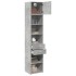 Armario estrecho madera ingeniería gris hormigón 45x42,5x225