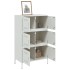 Aparador de acero blanco 68x39x113