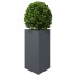 Jardineras 2 uds acero gris antracita 50x43x75