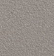 Gris Dove